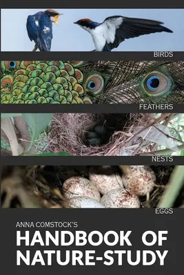 Manualul de studiu al naturii în culori - Păsări - The Handbook Of Nature Study in Color - Birds
