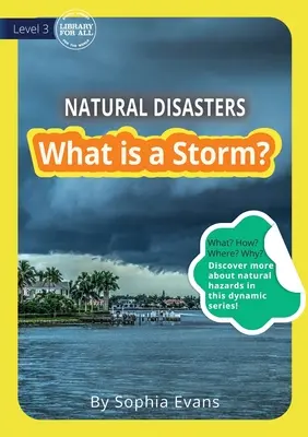 Ce este o furtună? - What Is A Storm?