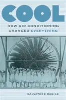 Cool: Cum aerul condiționat a schimbat totul - Cool: How Air Conditioning Changed Everything