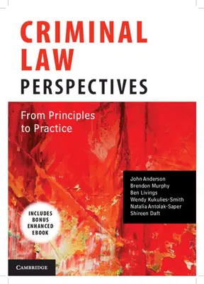 Perspective de drept penal: De la principii la practică - Criminal Law Perspectives: From Principles to Practice