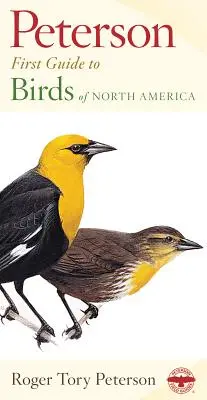 Păsări din America de Nord - Birds of North America