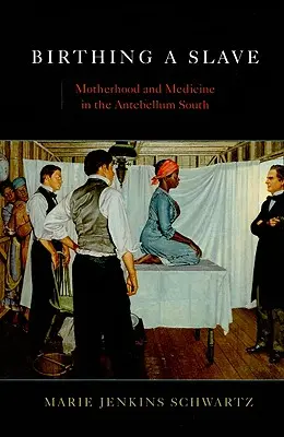 Nașterea unui sclav: Maternitate și medicină în sudul antebelic - Birthing a Slave: Motherhood and Medicine in the Antebellum South