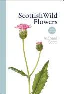 Flori sălbatice scoțiene: Mini ghid - Scottish Wild Flowers: Mini Guide