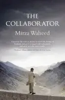 Colaborator - Collaborator