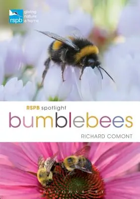 RSPB Spotlight Bondari - RSPB Spotlight Bumblebees