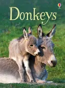 Măgarii - Donkeys
