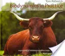 Biodinamica în practică: Viața într-o fermă deținută de o comunitate - Biodynamics in Practice: Life on a Community Owned Farm