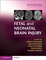 Leziuni cerebrale fetale și neonatale - Fetal and Neonatal Brain Injury