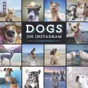 Câini pe Instagram - Dogs on Instagram