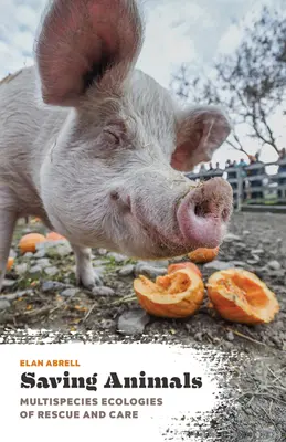 Salvarea animalelor: Ecologii multispecii de salvare și îngrijire - Saving Animals: Multispecies Ecologies of Rescue and Care