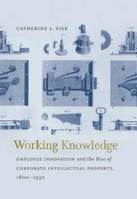 Working Knowledge: Inovația angajaților și creșterea proprietății intelectuale a întreprinderilor, 1800-1930 - Working Knowledge: Employee Innovation and the Rise of Corporate Intellectual Property, 1800-1930