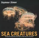 Creaturi marine - Sea Creatures