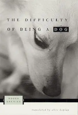 Dificultatea de a fi un câine - The Difficulty of Being a Dog