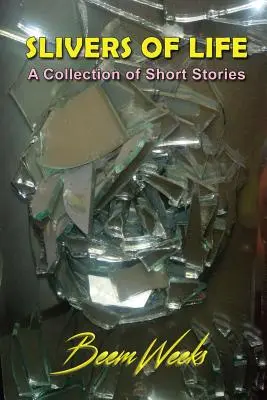 Frânturi de viață: O colecție de povestiri scurte - Slivers of Life: A Collection of Short Stories
