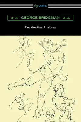 Anatomie constructivă - Constructive Anatomy