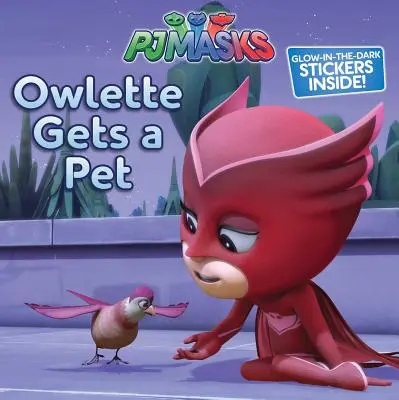 Owlette primește un animal de companie - Owlette Gets a Pet