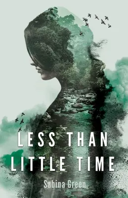 Mai puțin decât puțin timp - Less Than Little Time