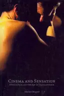 Cinema și senzație: Filmul francez și arta transgresiunii - Cinema and Sensation: French Film and the Art of Transgression