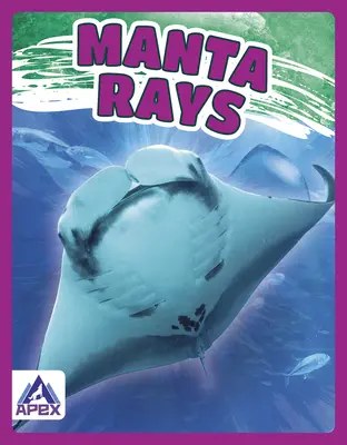 Raze Manta - Manta Rays