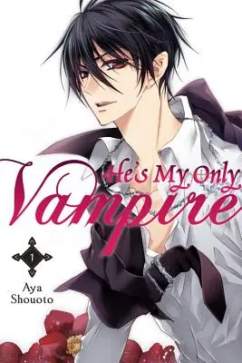 He's My Only Vampire, Volumul 1 - He's My Only Vampire, Volume 1
