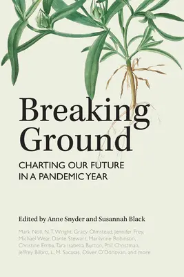 Breaking Ground: Trasarea viitorului nostru într-un an pandemic - Breaking Ground: Charting Our Future in a Pandemic Year