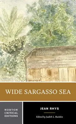 Wide Sargasso Sea: Context, critică - Wide Sargasso Sea: Backgrounds, Criticism