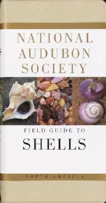 Ghidul de teren al Societății Naționale Audubon pentru scoicile marine din America de Nord - National Audubon Society Field Guide to North American Seashells