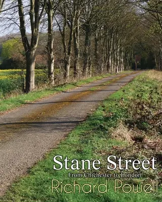 Strada Stane: De la Chichester la Londra - Stane Street: From Chichester to London