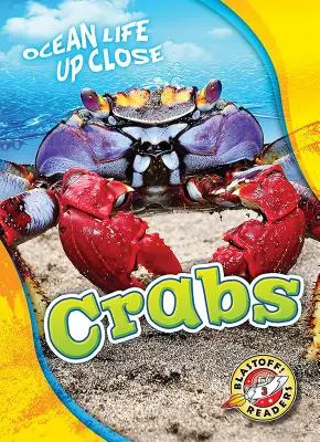 Crabi - Crabs