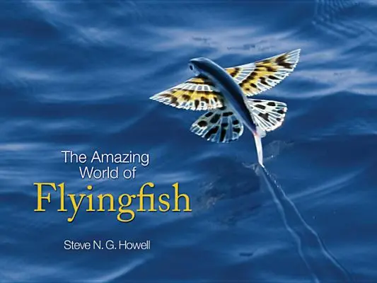 Lumea uimitoare a peștilor zburători - The Amazing World of Flyingfish