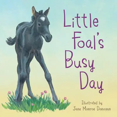 Ziua aglomerată a micului mânz - Little Foal's Busy Day