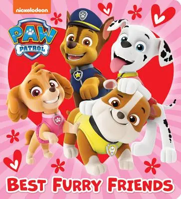 Cei mai buni prieteni blănoși (Paw Patrol) - Best Furry Friends (Paw Patrol)
