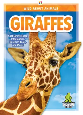 Girafe - Giraffes
