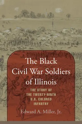 The Black Civil War Soldiers of Illinois: The Story of the Twenty-ninth U.S. Colored Infantry