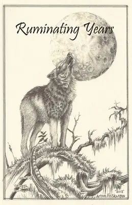 Ani de meditație - Ruminating Years