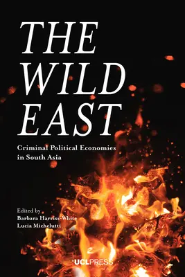 Estul sălbatic: Economii politice criminale în Asia de Sud - The Wild East: Criminal Political Economies in South Asia