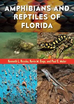 Amfibieni și reptile din Florida - Amphibians and Reptiles of Florida