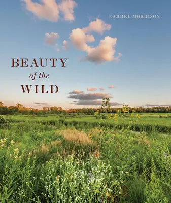 Beauty of the Wild: A Life Designing Landscapes Inspired by Nature