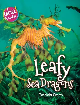 Dragoni de mare cu frunze - Leafy Sea Dragons