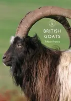 Capre britanice - British Goats