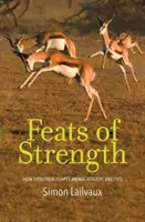 Fapte de forță: Modul în care evoluția modelează abilitățile atletice ale animalelor - Feats of Strength: How Evolution Shapes Animal Athletic Abilities