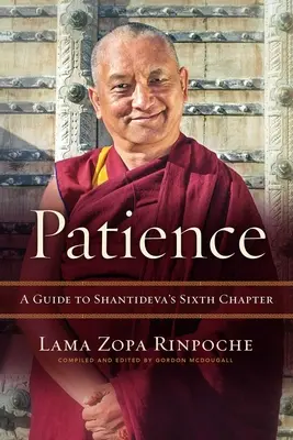 Răbdare: Un ghid pentru cel de-al șaselea capitol al lui Shantideva - Patience: A Guide to Shantideva's Sixth Chapter