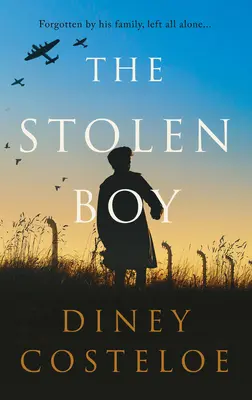 Copilul furat - The Stolen Baby