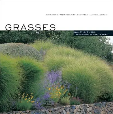 Ierburi: Parteneri versatili pentru un design de grădină neobișnuit - Grasses: Versatile Partners for Uncommon Garden Design