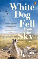 Câinele alb a căzut din cer - White Dog Fell From the Sky