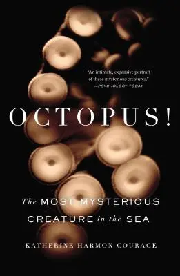 Octopus! Cea mai misterioasă creatură din mare - Octopus!: The Most Mysterious Creature in the Sea