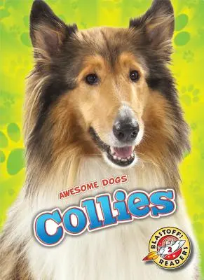 Collie - Collies