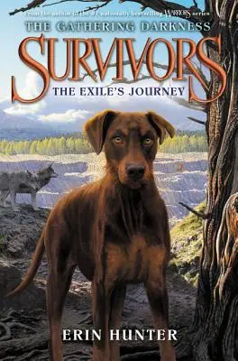 Supraviețuitori: The Gathering Darkness: Călătoria exilatului - Survivors: The Gathering Darkness: The Exile's Journey