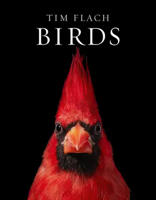 Păsările - Birds