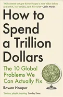 Cum să cheltuim un trilion de dolari - Cele 10 probleme globale pe care le putem rezolva cu adevărat - How to Spend a Trillion Dollars - The 10 Global Problems We Can Actually Fix